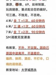 风骚小粉的琴子